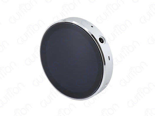 ESP32 rotary display